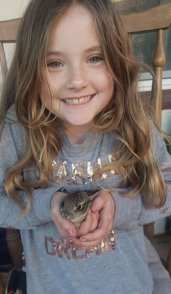 My daughter saved this baby bunny from a cat today!