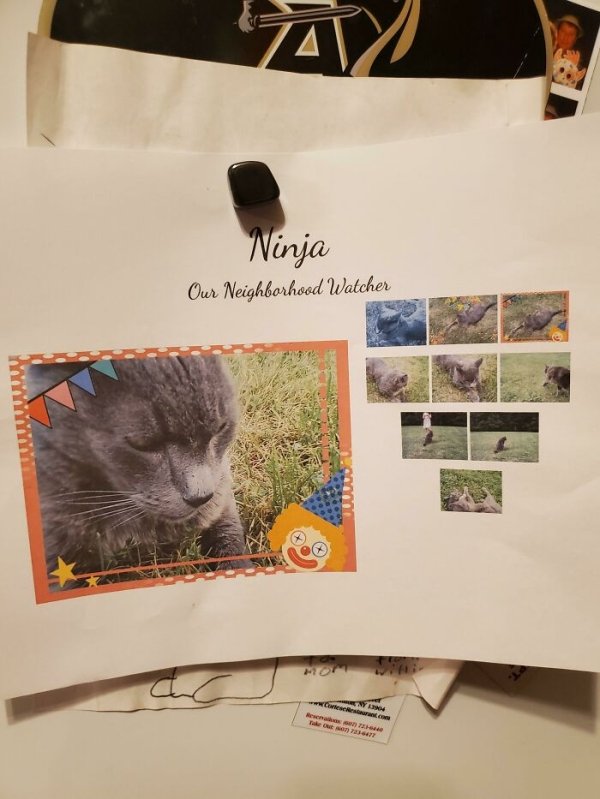 So my cat died a few days ago and the neighbors kids found out and my this collage of him. Im in tears.