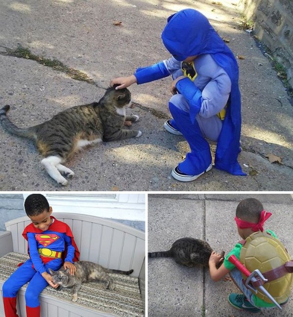 5-year-old Shon dresses up to help street cats because “it makes him feel like a superhero for animals”.