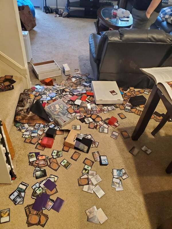 Finished sorting my cards! And then I fell…