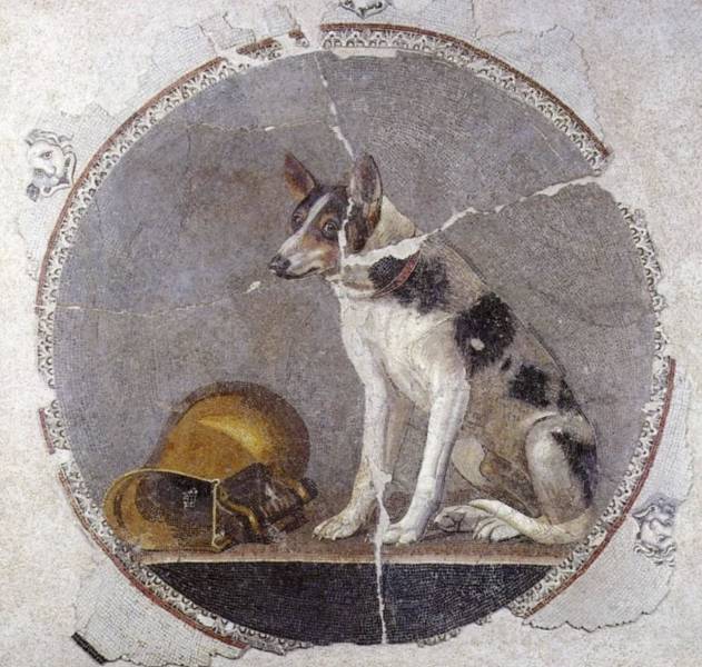 “This is a 2,000-year-old Egyptian floor mosaic depicting a dog and a knocked-over gold vessel, which typically held wine or water.”