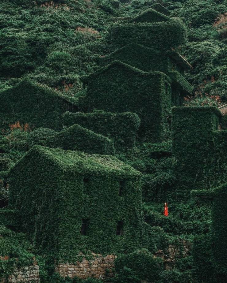 “Overgrown vines covering the houses of Houtouwan, an abandoned fishing village on one of the Shengsi Islands, a chain of 400 islands located 40 miles East of Shanghai, China.”