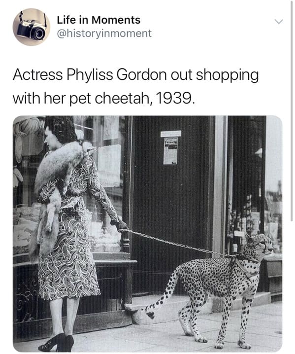 pet cheetah - Life in Moments Actress Phyliss Gordon out shopping with her pet cheetah, 1939.