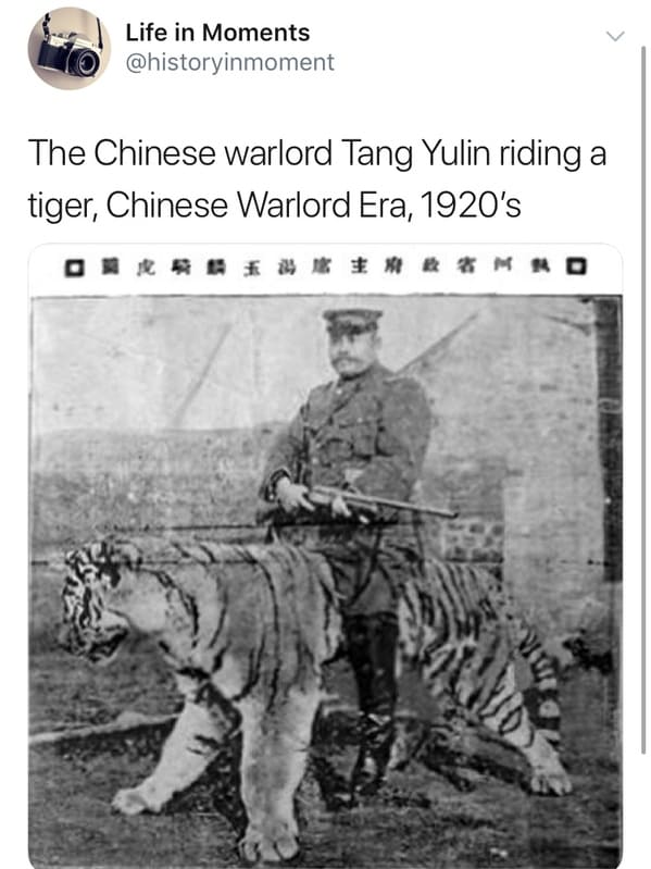 chinese warlord meme - Life in Moments The Chinese warlord Tang Yulin riding a tiger, Chinese Warlord Era, 1920's # # #