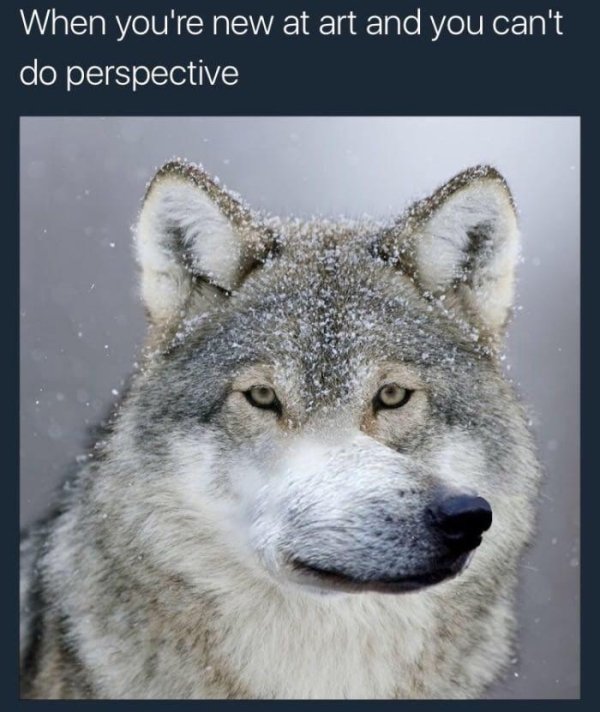 wolf meme - When you're new at art and you can't do perspective