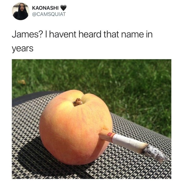 james and the giant peach memes - Kaonashi James? I havent heard that name in years