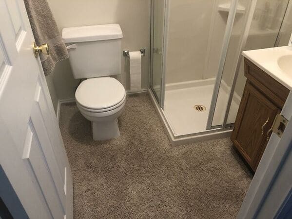 “Carpet Bathrooms”