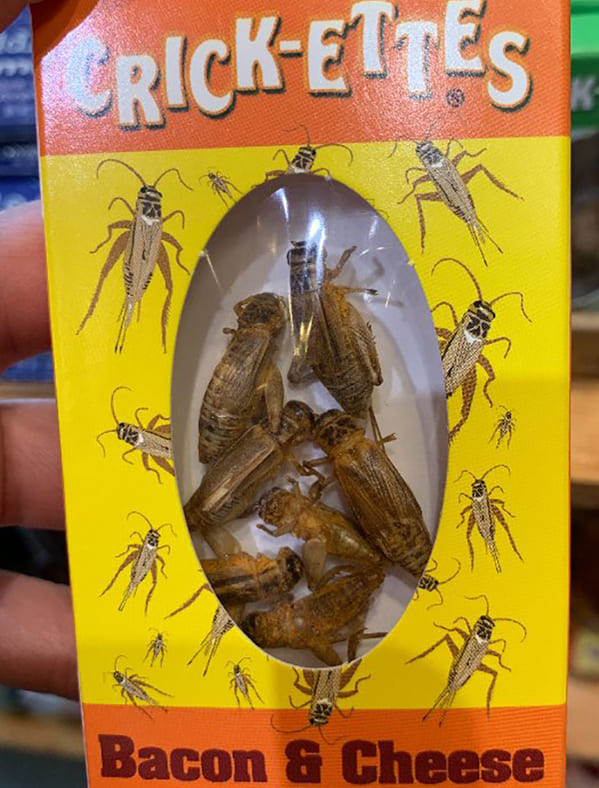 “Bug Snacks. Ew. Not Even Bacon Will Make This Palatable”