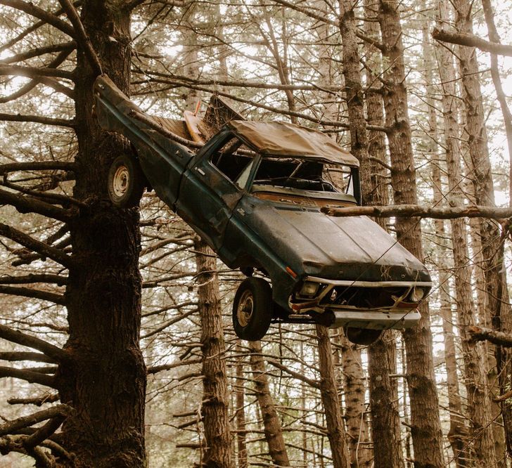 “This truck in a tree I found in the woods”