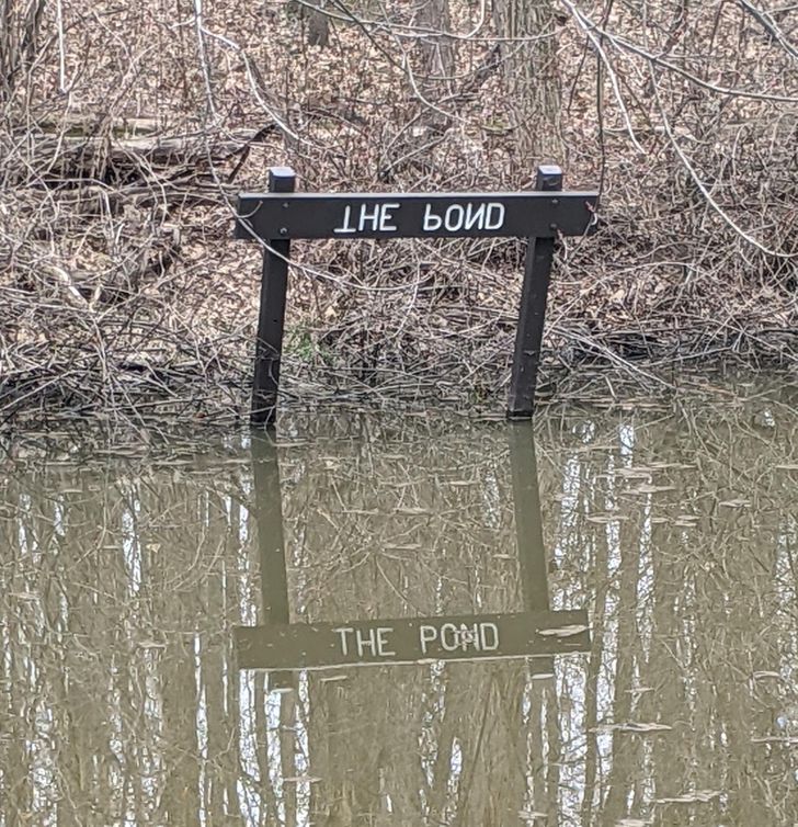 “This sign has the words inverted so you can read it in the water.”