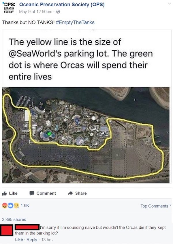 funny facebook posts - water resources - Ops Oceanic Preservation Society Ops Society May 9 at pm Thanks but No Tanks! The Tanks The yellow line is the size of 's parking lot. The green dot is where Orcas will spend their entire lives Comment 2 Top 3,895 