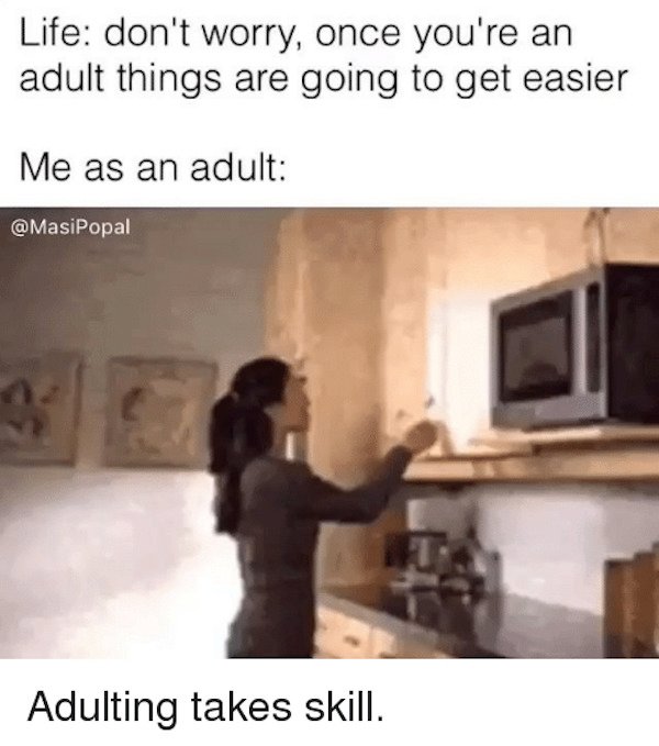 44 Memes About Adulthood To Bum You Out.