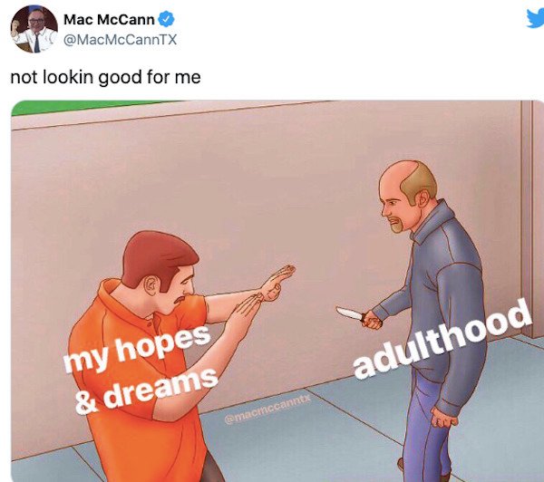 44 Memes About Adulthood To Bum You Out.