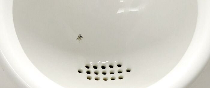 TIL of the Schiphol fly, which is a fly engraved on urinals at Amsterdam’s Schiphol Airport. The psychology is that men will want to "wash" the fly off the urinal so they focus more when urinating, apparently lowering cleaning bills in public bathrooms.