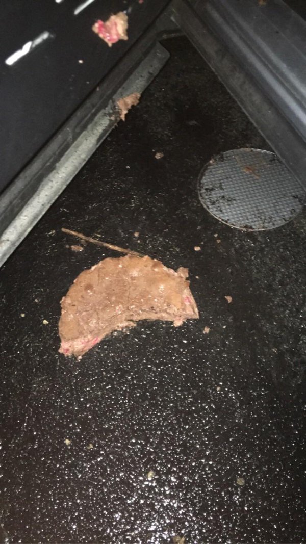 “Made a cheesecake. Dropped it in the rain.”