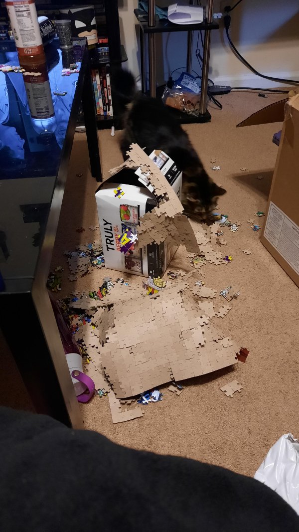 “Was finishing up a 1000 piece puzzle before my cat ran and jumped up on the table to slide the whole thing off.”