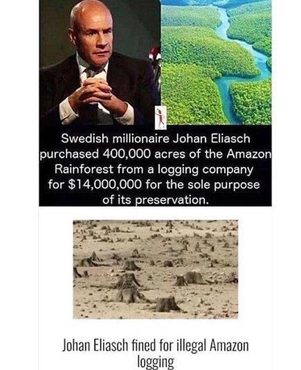 things aged poorly - human behavior - Swedish millionaire Johan Eliasch purchased 400,000 acres of the Amazon Rainforest from a logging company for $14,000,000 for the sole purpose of its preservation. Johan Eliasch fined for illegal Amazon logging