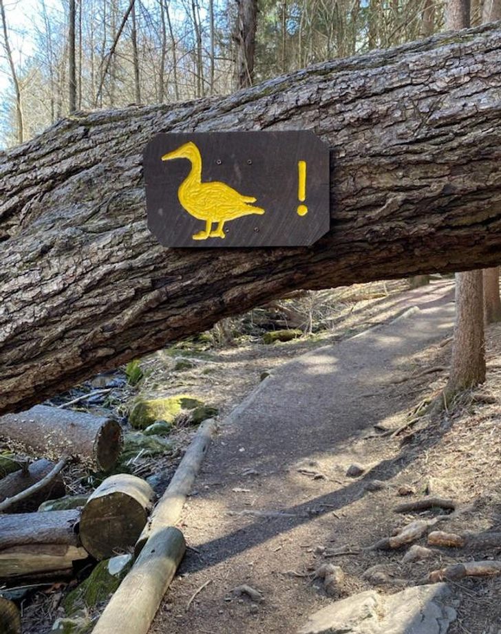 “This sign telling me to duck...”