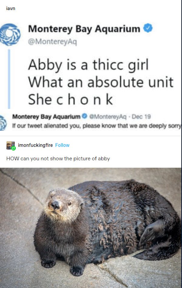 25 Things That Are Absolute Units.