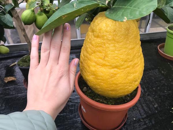 25 Things That Are Absolute Units.