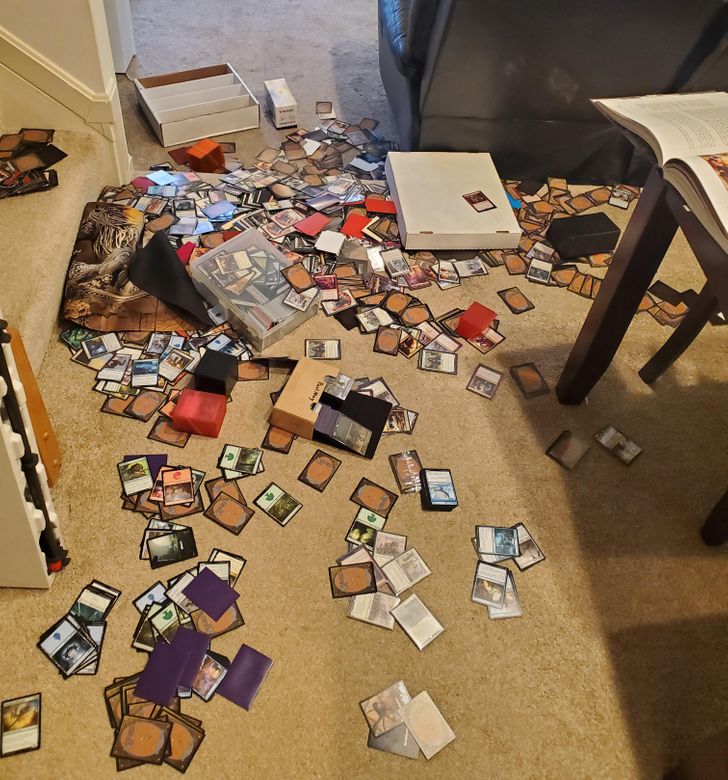 “Finished sorting my cards and then I fell.”