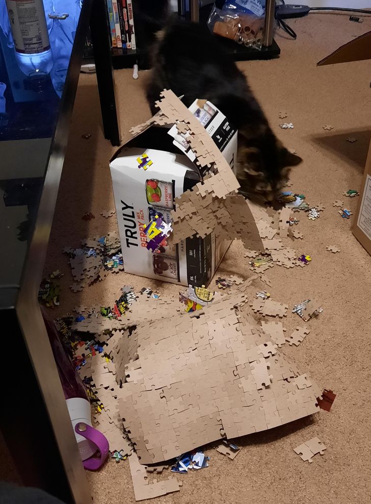 “Was finishing up a 1000-piece puzzle before my cat ran and jumped up on the table to slide the whole thing off.”