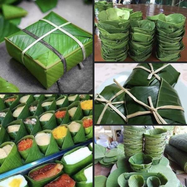 “Use Banana leaves as natural packaging to reduce plastic use.”