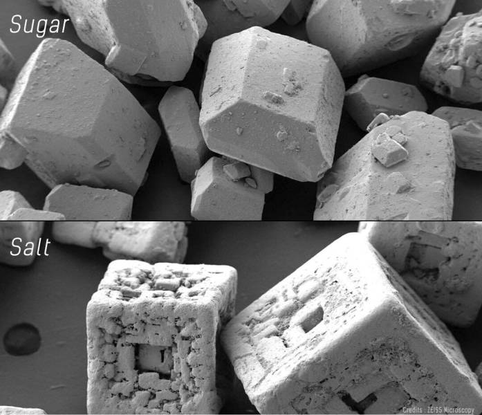 “Salt and sugar under an electron microscope.”