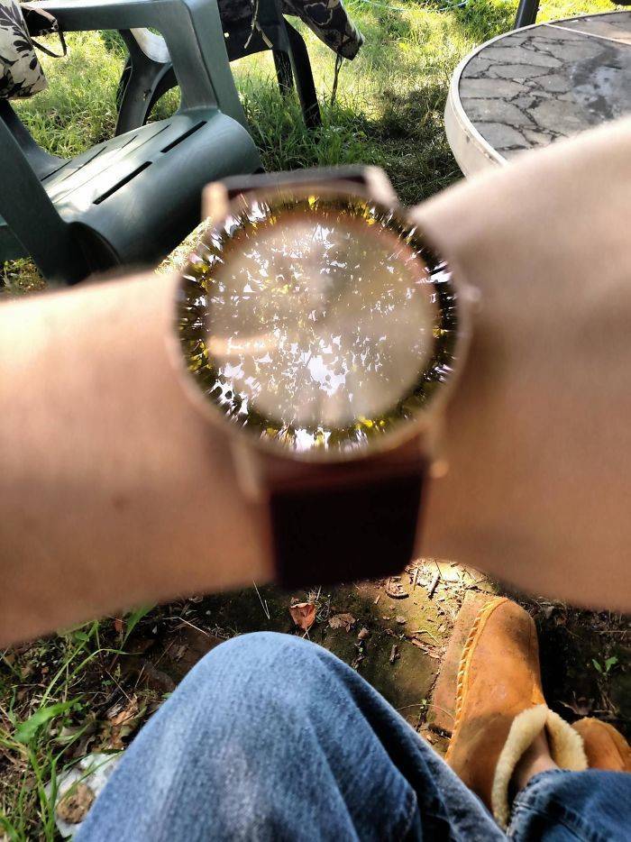 “The camera focused on the reflection of the tree instead of the watch.”