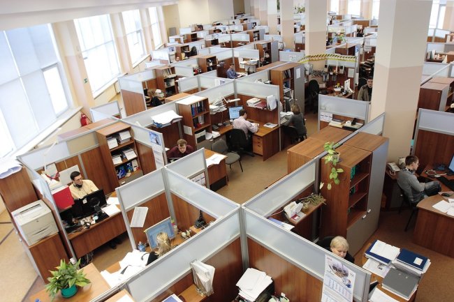 The word cubicle comes from the Latin word “cubiculum,” which means bed-chamber.