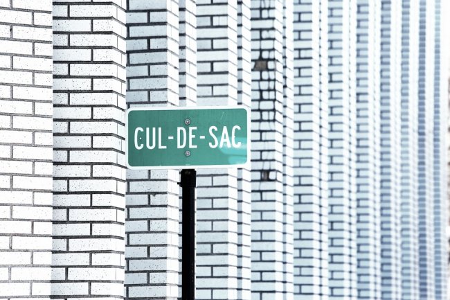 The plural of cul-de-sac is actually culs-de-sac.