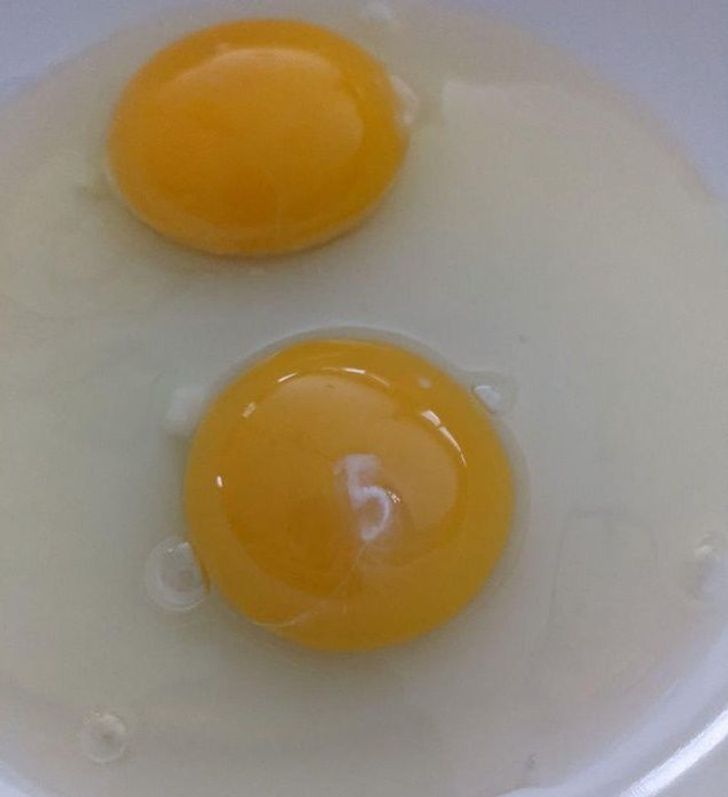 “My raw egg has the number 5 on its yolk.”