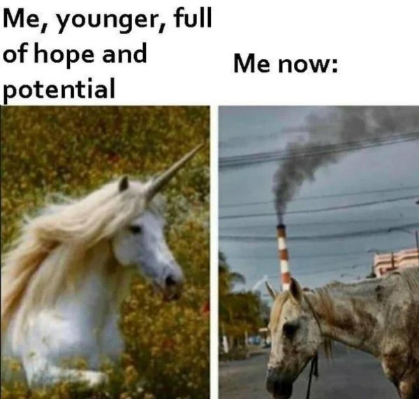 giraffe unicorn - Me, younger, full of hope and potential Me now