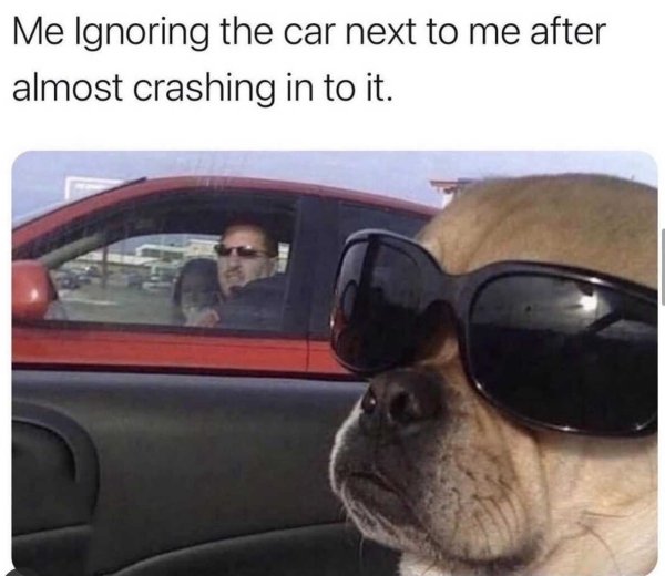 me ignoring the car next to me after almost crashing it - Me Ignoring the car next to me after almost crashing in to it.