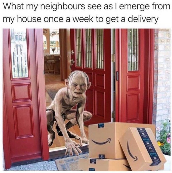 introvert meme - What my neighbours see as I emerge from my house once a week to get a delivery