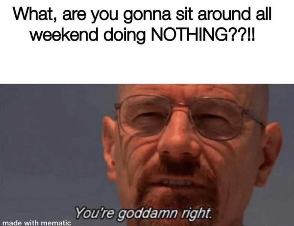 heisenberg among us - What, are you gonna sit around all weekend doing Nothing??!! You're goddamn right. made with mematic