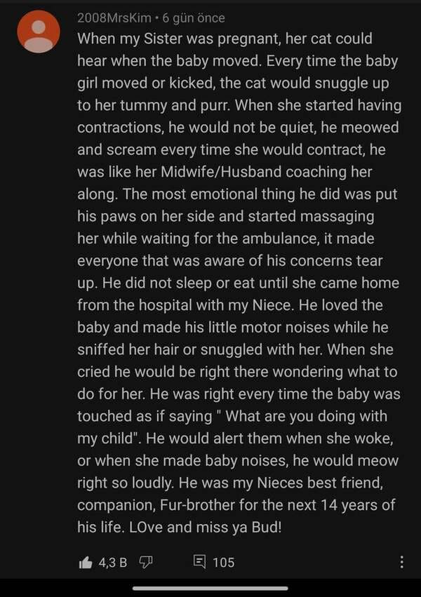 screenshot - 2008Mrskim. 6 gn nce When my sister was pregnant, her cat could hear when the baby moved. Every time the baby girl moved or kicked, the cat would snuggle up to her tummy and purr. When she started having contractions, he would not be quiet, h