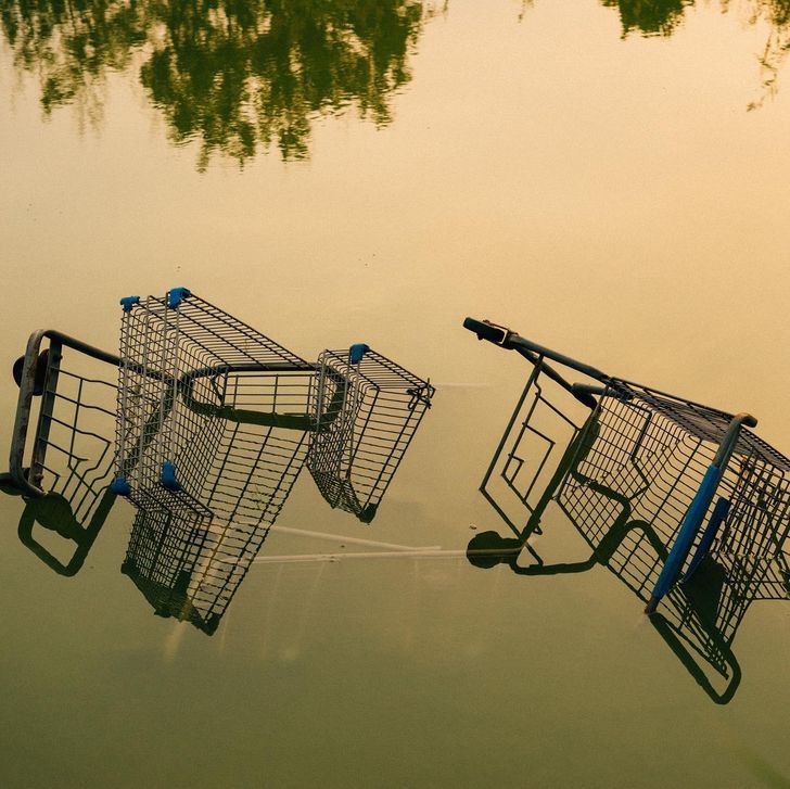 “2 carts I found in my local swamp awhile back. The reflections were weird.”