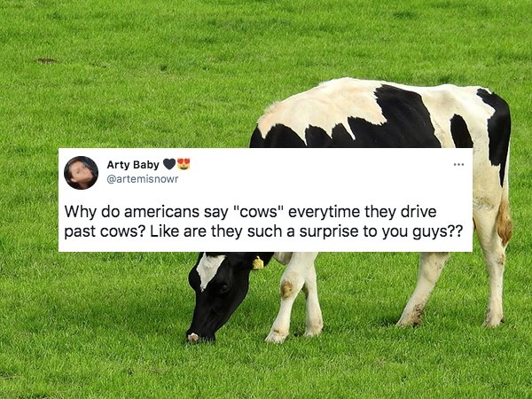 28 Things Only Americans Say That Confuse People.