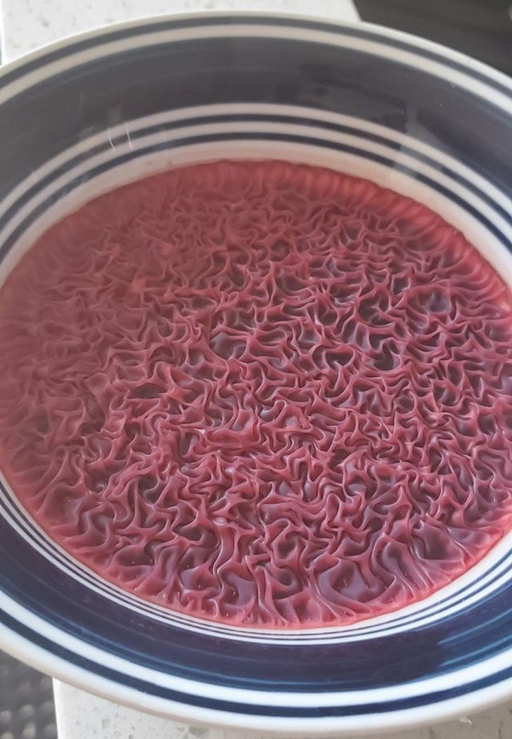 “I accidentally left a bowl of beet juice on the counter, and the top layer rippled.”