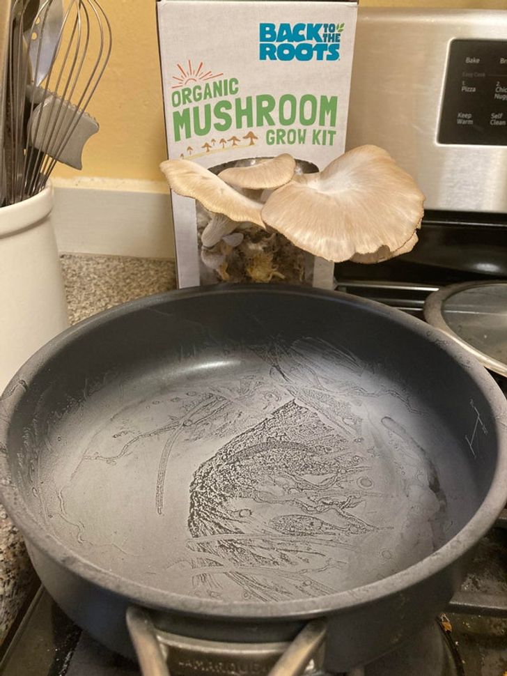 “I left a mushroom grow-kit on the stove overnight and woke up to this crazy spore pattern on the pan below.”