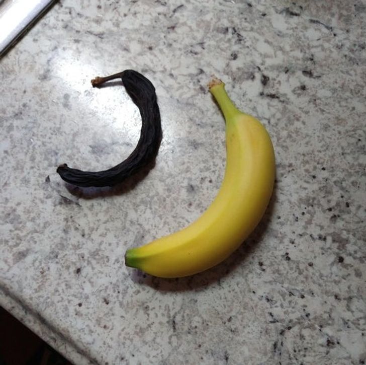 “My dad found a very old banana in his coat pocket.”