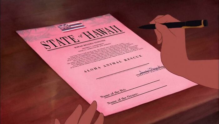 In Lilo & Stitch (2002) Stitch’s adoption paper Nani signs is actually a thank you letter from the directors and producer to the people who helped create the film.