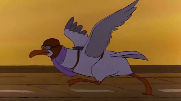 In Disney’s The Rescuers (1977), Orville the Albatross is seen using a runway and requires a running start before taking flight. This is because albatrosses in real life also require a running start due to their significant size and weight.