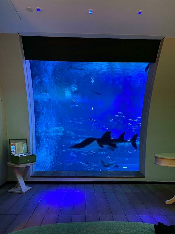 Out hotel room is inside a giant aquarium with Sharks, Mantas and Stingrays swimming about