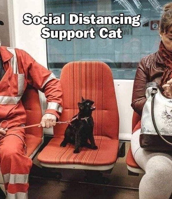 bad day - social distancing support cat - Social Distancing upport Cat