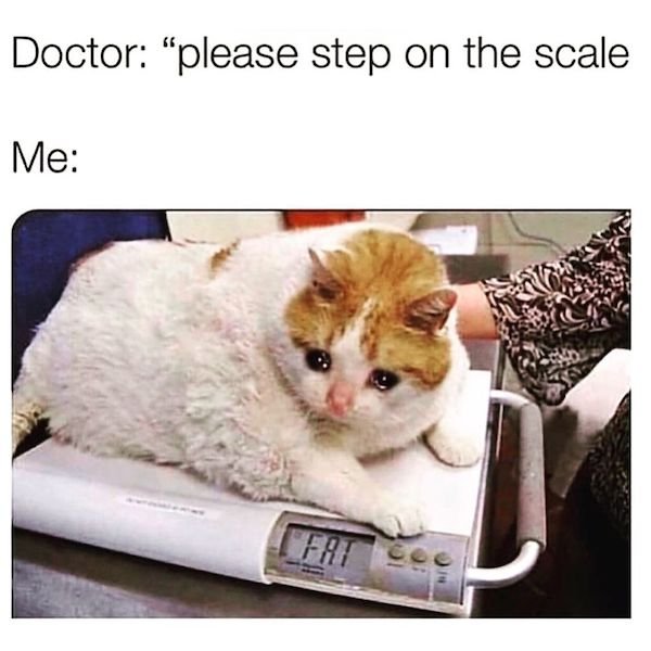 bad day - Funny - Doctor "please step on the scale Me 10