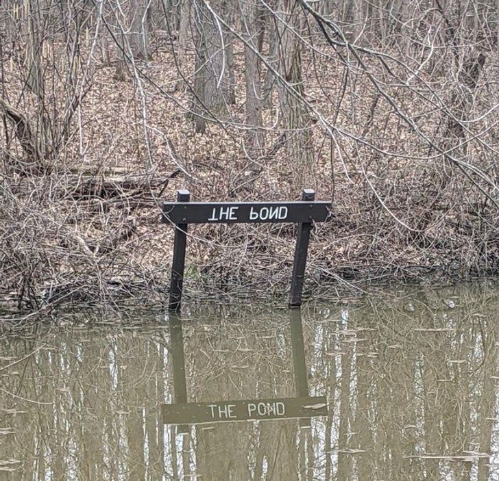“This sign at a local nature preserve has the words inverted so you can read it in the water.”