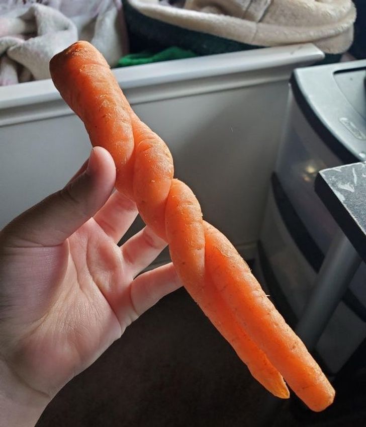 “A carrot with a twist”