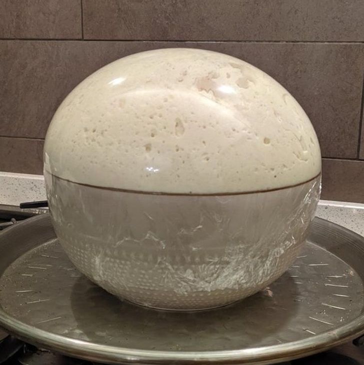“This perfectly round homemade pizza dough”
